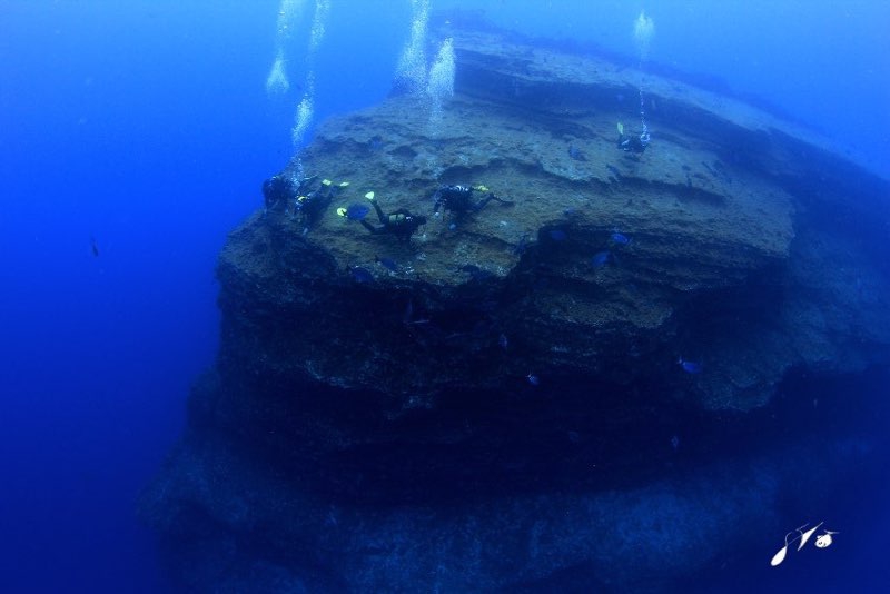 Fan Diving